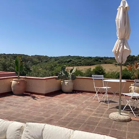 בית נופש Casa Flamingo 150m Dal Mare *